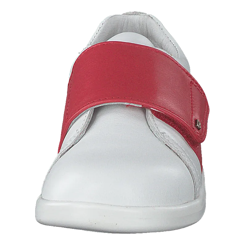 Boston White   Red