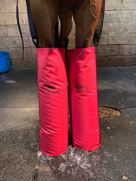 Equine Ice Soaking Boots - Colors