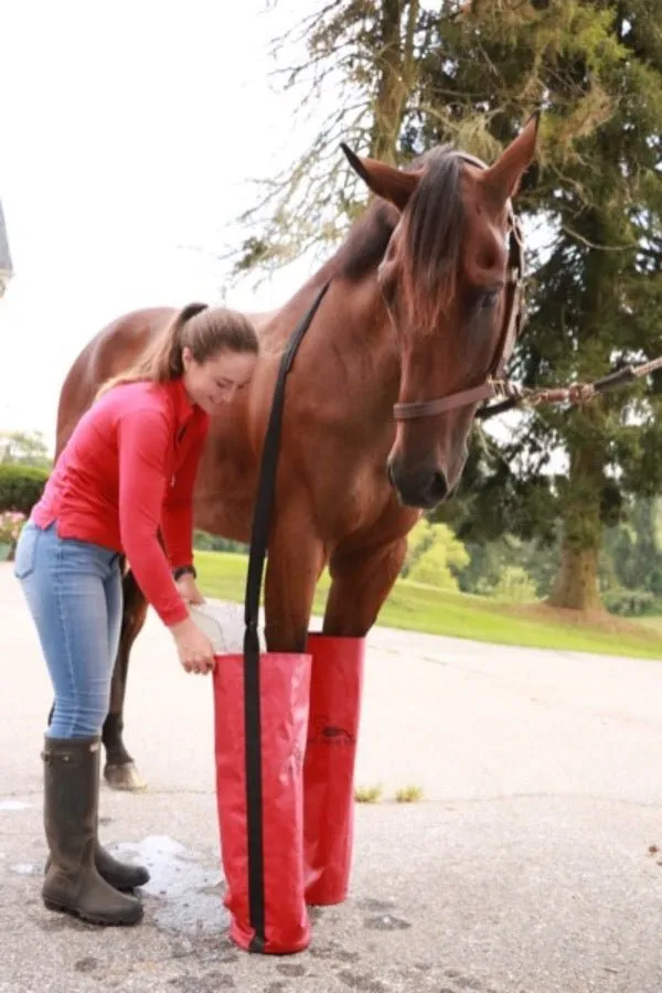 Equine Ice Soaking Boots - Colors