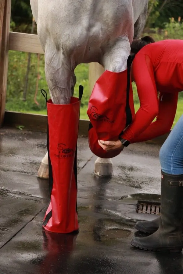 Equine Ice Soaking Boots - Colors